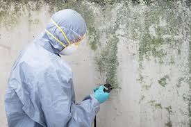 Best Mold Remediation for Healthcare Facilities in Xenia, OH